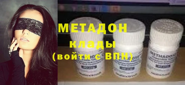 индика Алексин