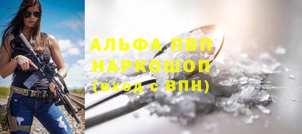индика Алексин