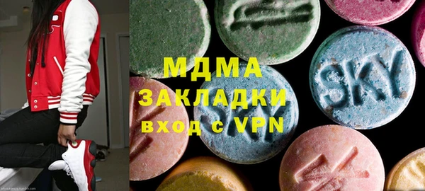 индика Алексин
