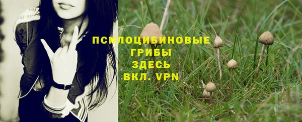 мескалин Абаза